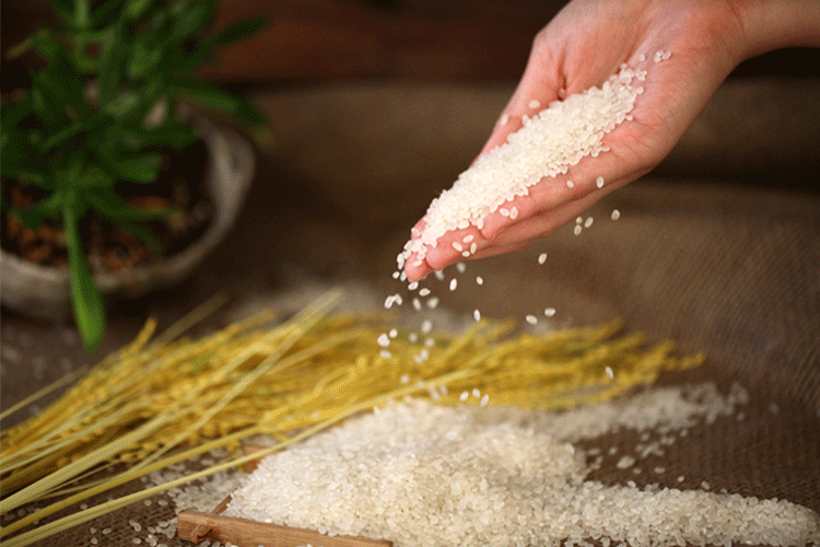 今年稻米市场将陷入20年来最大的供应缺口 分析料米价将高企