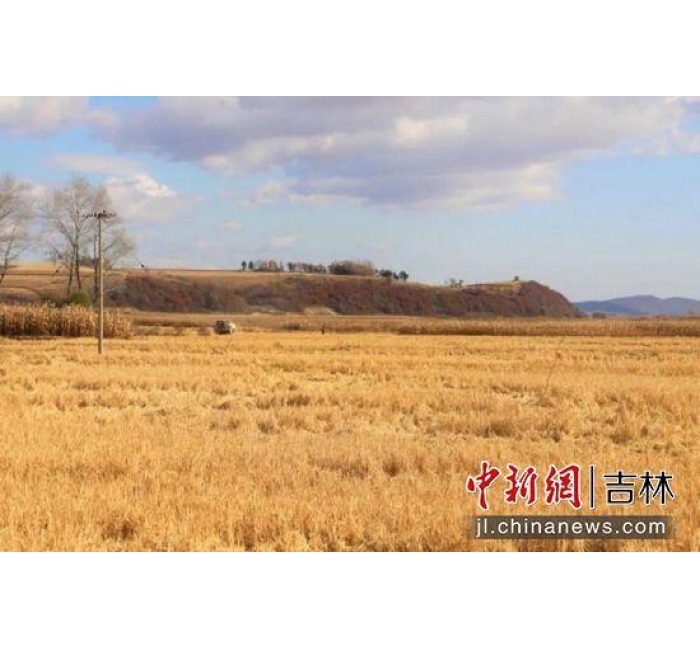 吉林磐石&ldquo;兰家大米&rdquo;：水稻育苗忙 种出&ldquo;新希望&rdquo;