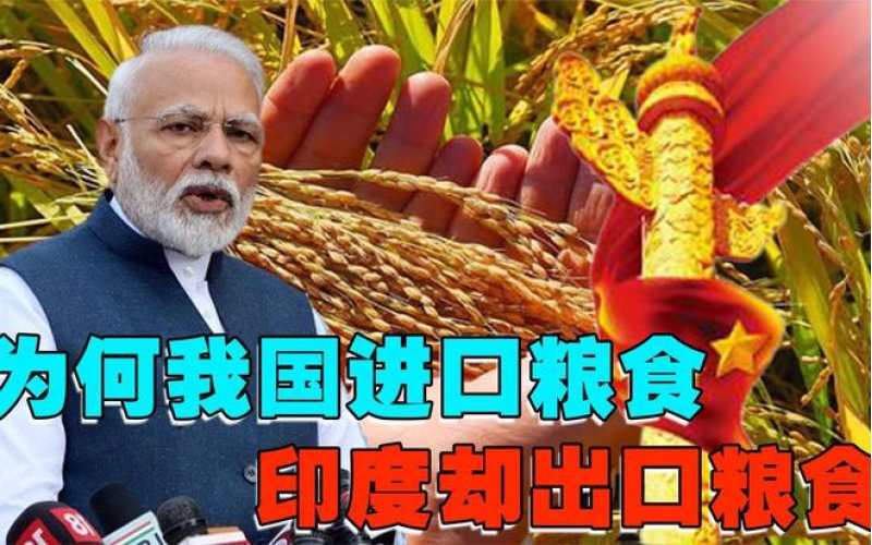 为什么都是人口大国，中国满世界买粮食，印度却大量出口粮食？