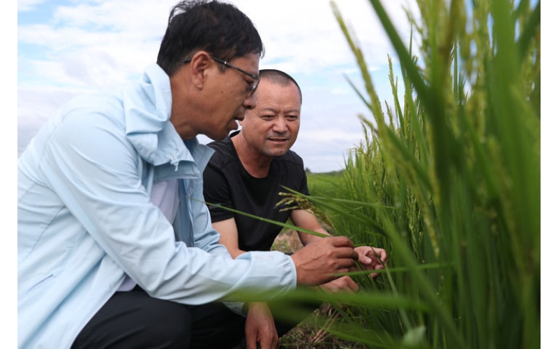 农业农村部：把培育壮大农业科技领军企业放在突出位置