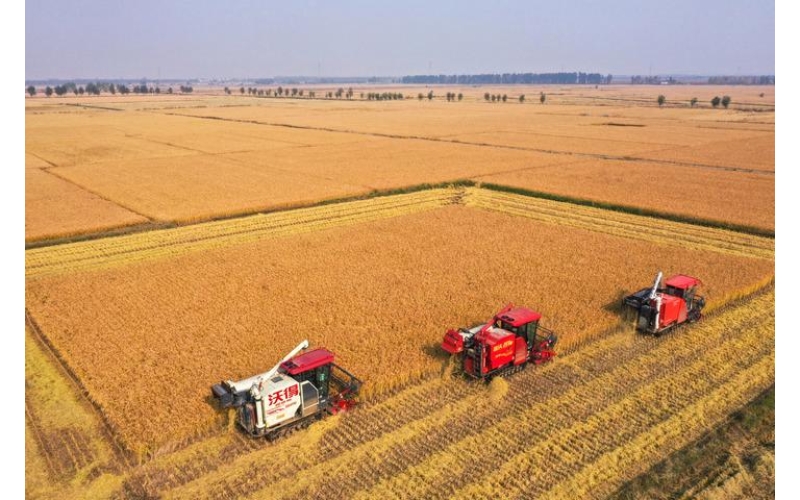 我国粮食状况分析报告