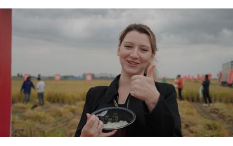 海外大V惊叹：中国大米好吃，农业机械化比肩欧美