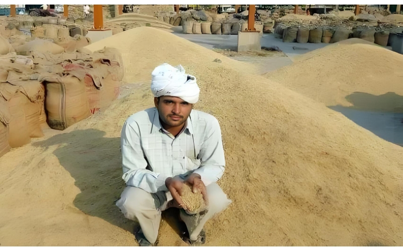 印度大米保护主义或引发贸易风暴