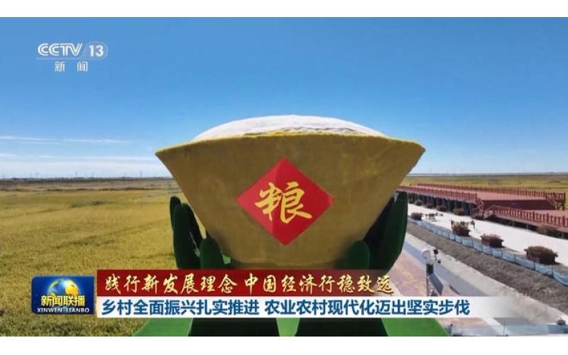 践行新发展理念 中国经济行稳致远丨乡村全面振兴扎实推进 农业农村现代化迈出坚实步伐