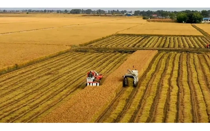 全方位夯实粮食安全根基