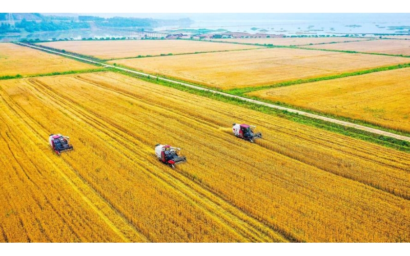 东北大米主要产区介绍
